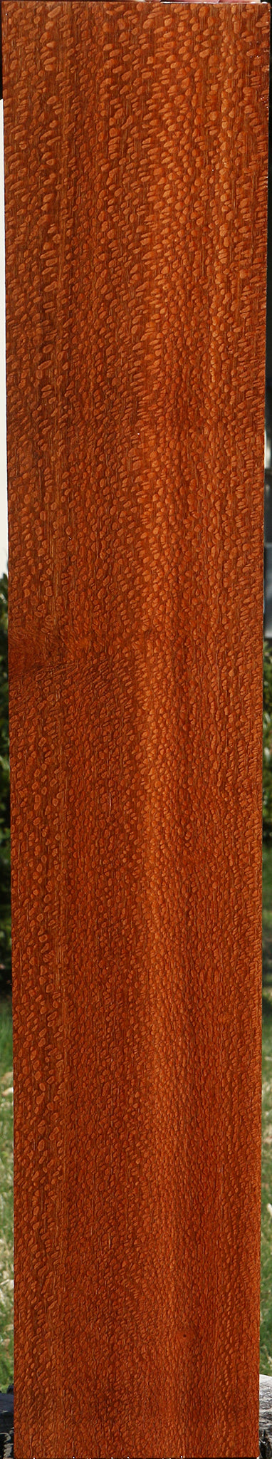 Extra Fancy Quartersawn Leopardwood Lumber