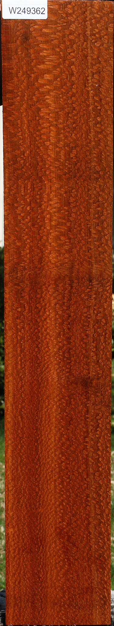 Extra Fancy Quartersawn Leopardwood Lumber
