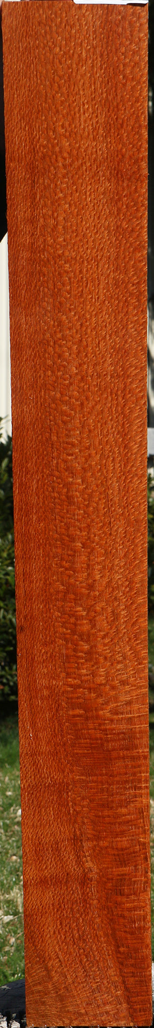 Extra Fancy Quartersawn Leopardwood Lumber