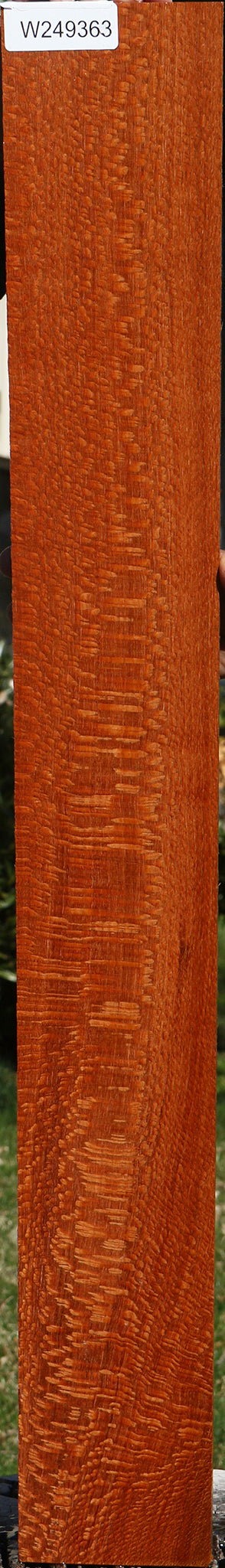 Extra Fancy Quartersawn Leopardwood Lumber