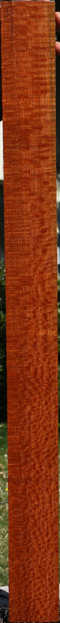 Extra Fancy Leopardwood Instrument Lumber