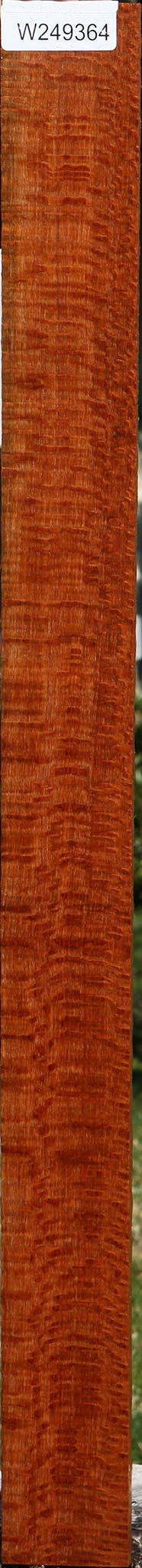 Extra Fancy Leopardwood Instrument Lumber