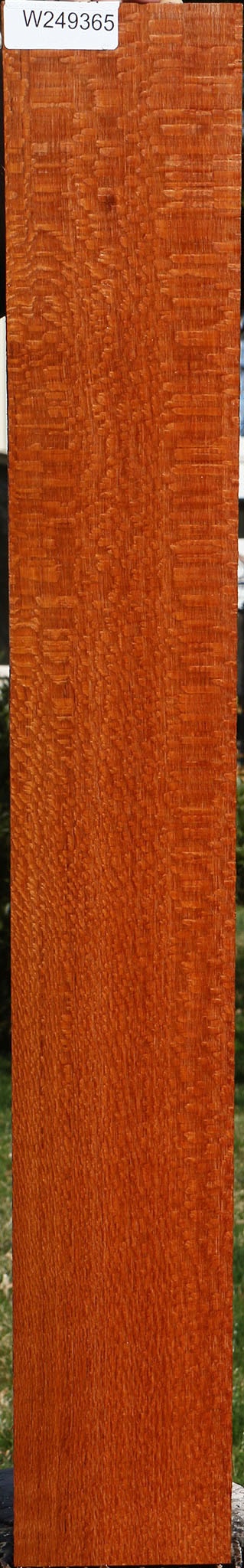 Figured Leopardwood Lumber