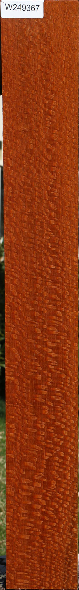 Extra Fancy Quartersawn Leopardwood Lumber