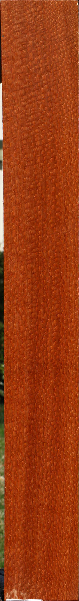 Extra Fancy Quartersawn Leopardwood Lumber