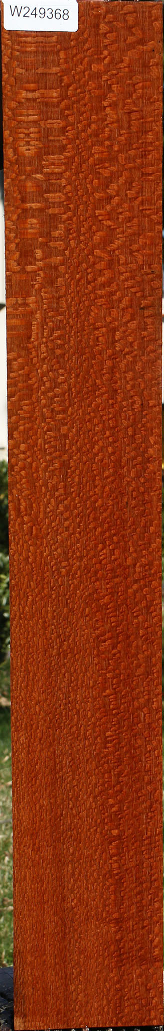 Extra Fancy Leopardwood Lumber
