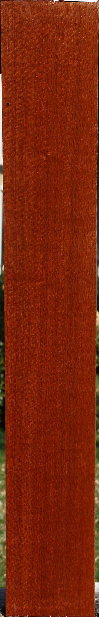 Extra Fancy Leopardwood Lumber
