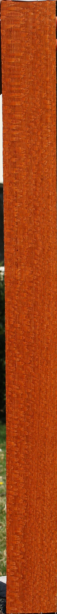 Extra Fancy Quartersawn Leopardwood Lumber