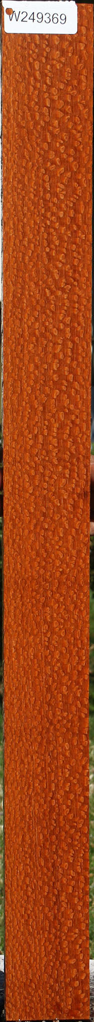 Extra Fancy Quartersawn Leopardwood Lumber