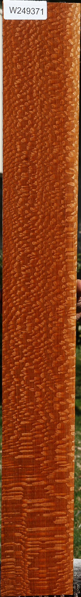 Extra Fancy Quartersawn Leopardwood Lumber