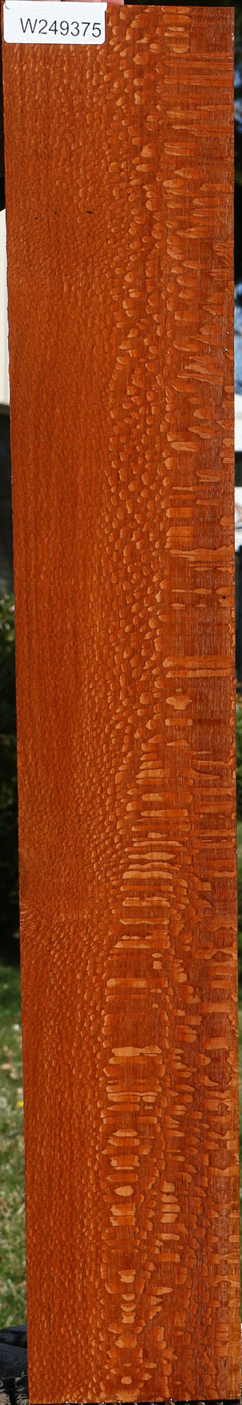 Figured Leopardwood Lumber