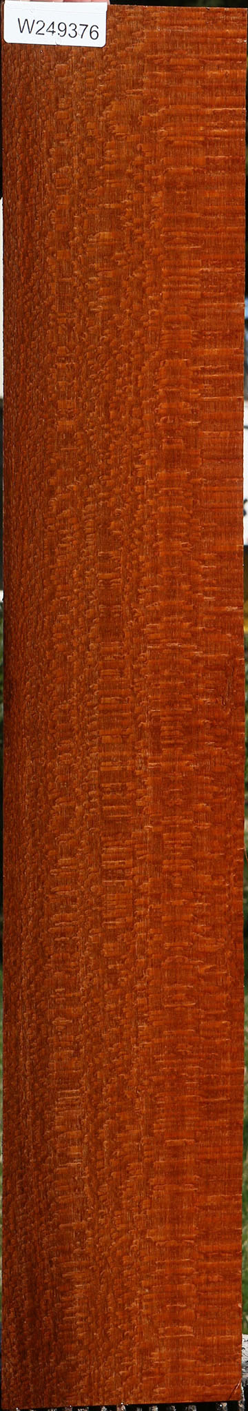 Extra Fancy Quartersawn Leopardwood Lumber