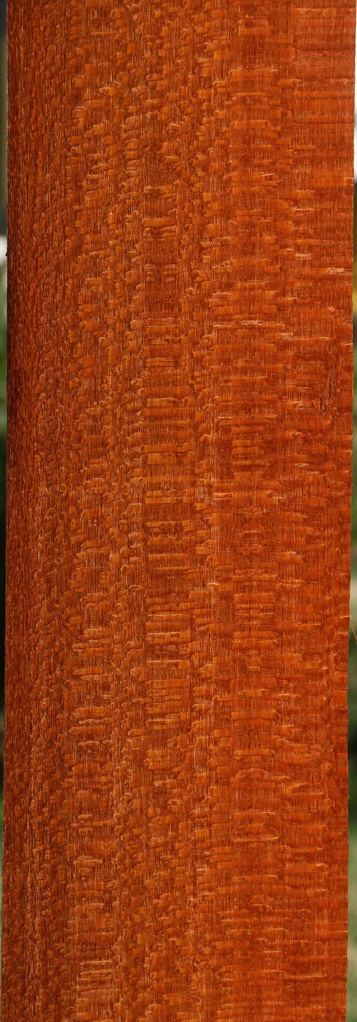 Extra Fancy Quartersawn Leopardwood Lumber
