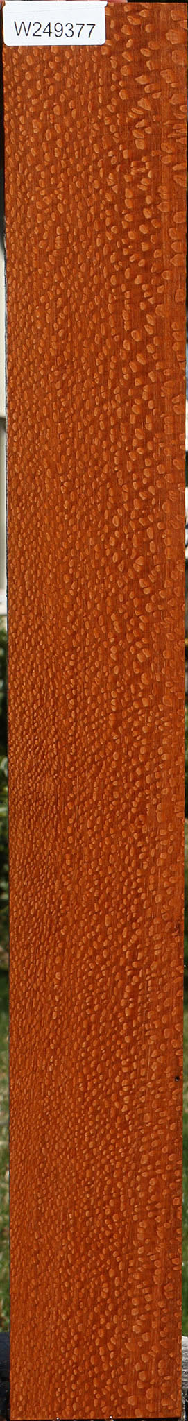 Figured Leopardwood Lumber