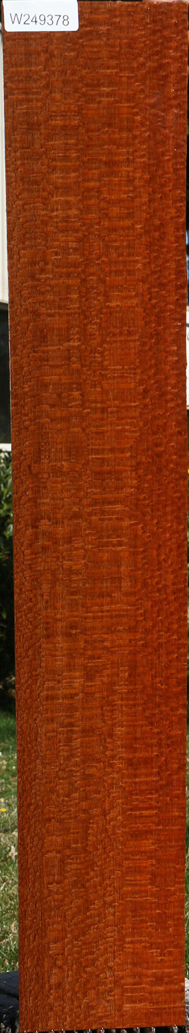 Extra Fancy Quartersawn Leopardwood Lumber