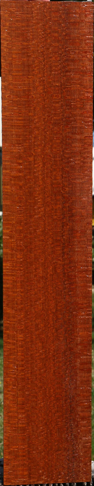 Extra Fancy Quartersawn Leopardwood Lumber