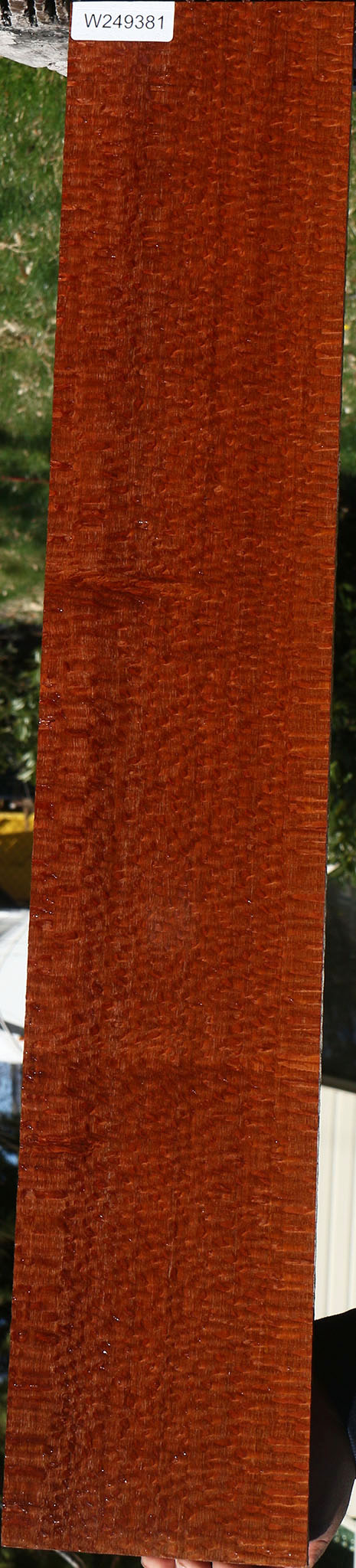 Extra Fancy Quartersawn Leopardwood Lumber