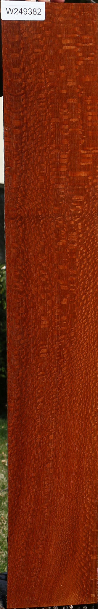 Extra Fancy Leopardwood Lumber