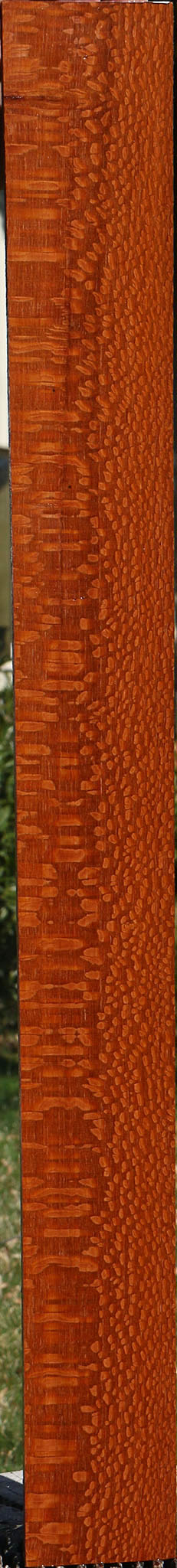 Extra Fancy Quartersawn Leopardwood Lumber