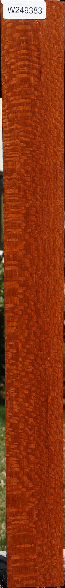 Extra Fancy Quartersawn Leopardwood Lumber