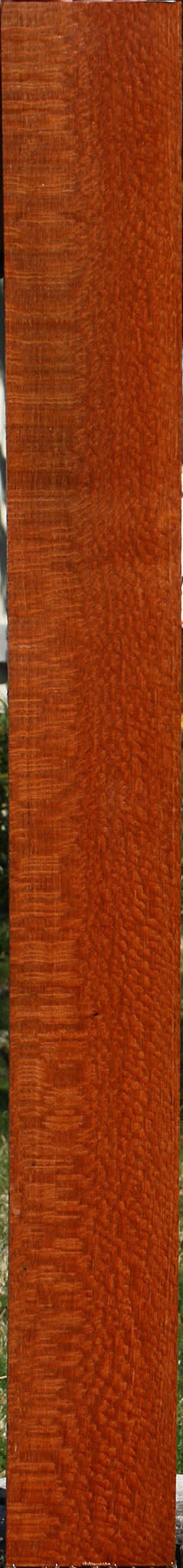 Extra Fancy Leopardwood Lumber