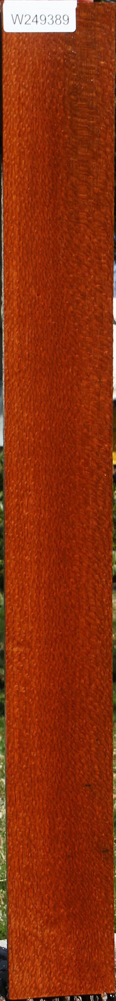 Extra Fancy Leopardwood Lumber