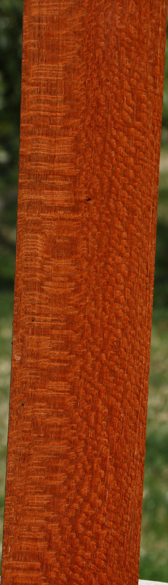 Extra Fancy Leopardwood Lumber