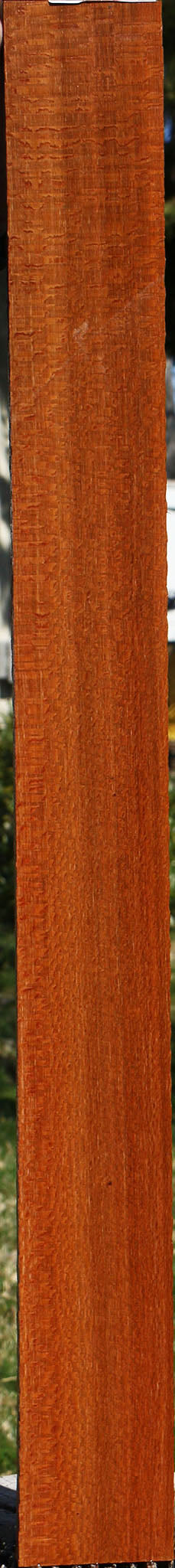 Figured Leopardwood Lumber