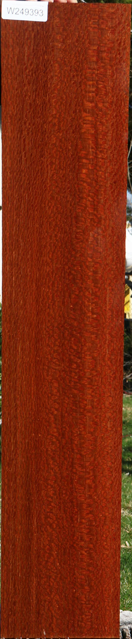 Extra Fancy Leopardwood Lumber