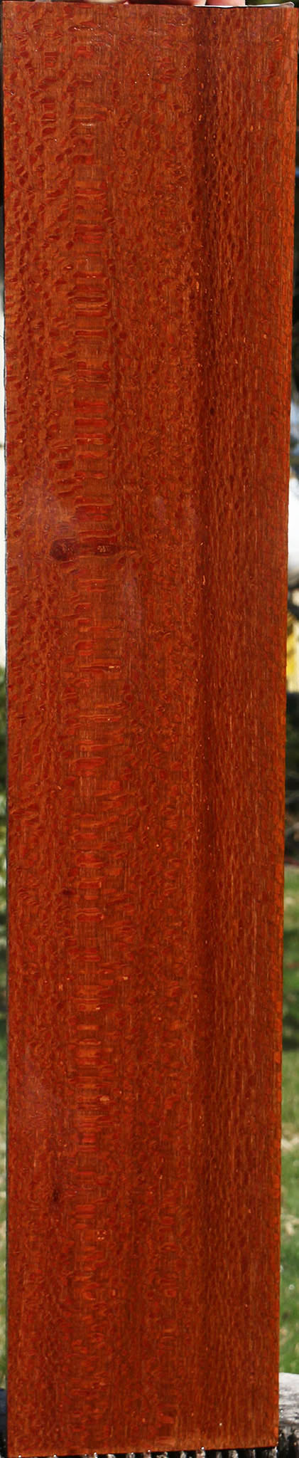 Extra Fancy Leopardwood Lumber