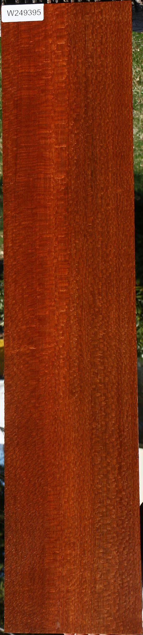 Extra Fancy Leopardwood Lumber