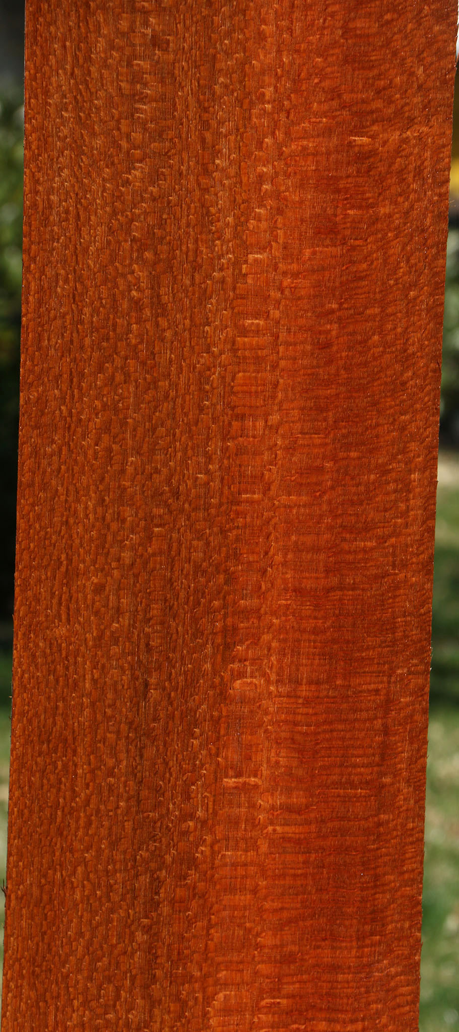 Extra Fancy Leopardwood Lumber