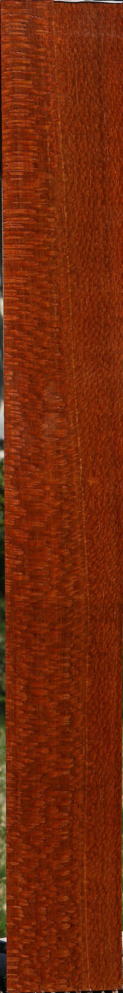 Extra Fancy Quartersawn Leopardwood Lumber