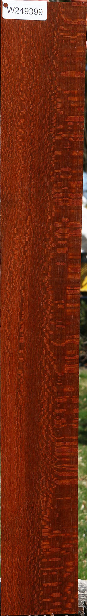 Figured Leopardwood Lumber