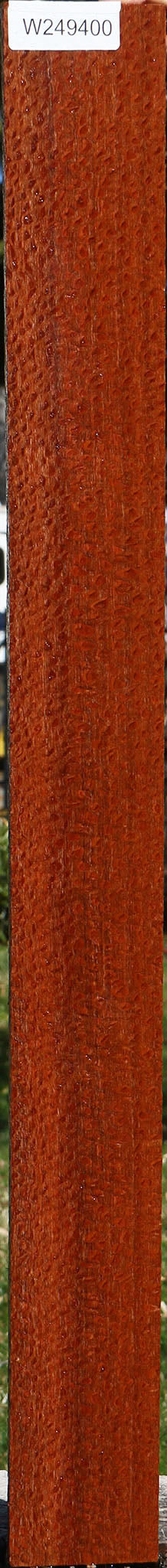 Extra Fancy Quartersawn Leopardwood Lumber