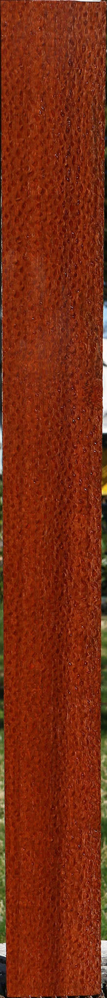 Extra Fancy Quartersawn Leopardwood Lumber