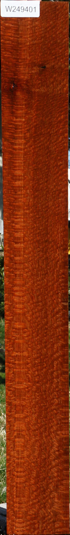 Extra Fancy Leopardwood Lumber