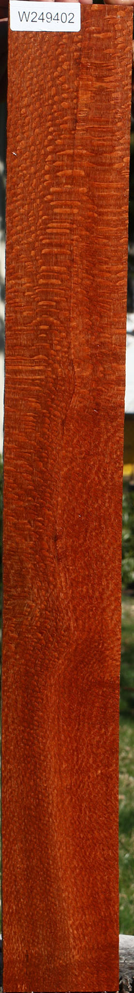 Extra Fancy Quartersawn Leopardwood Lumber
