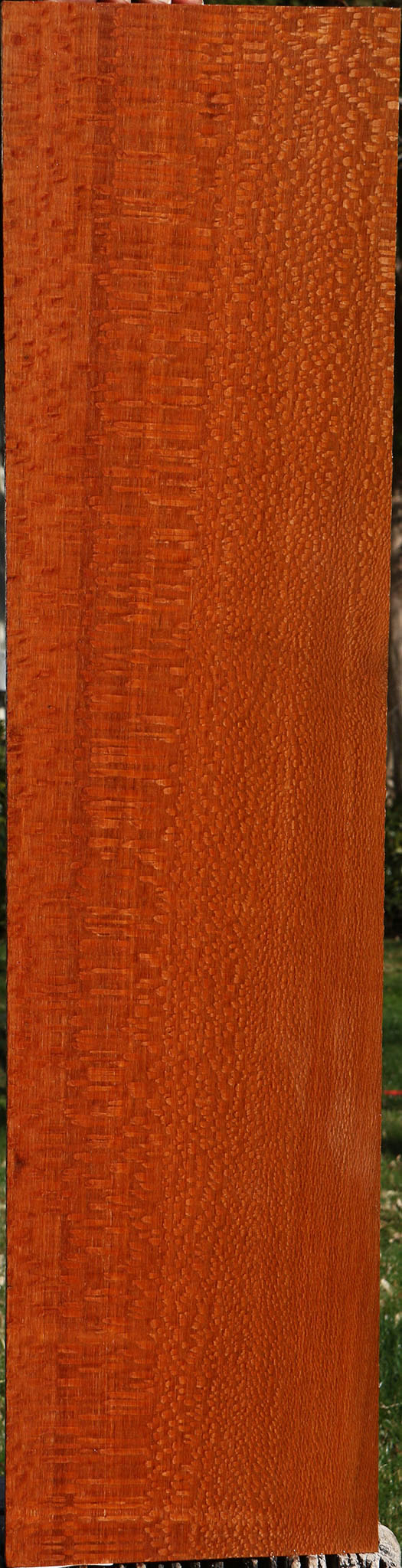Extra Fancy Quartersawn Leopardwood Instrument Lumber