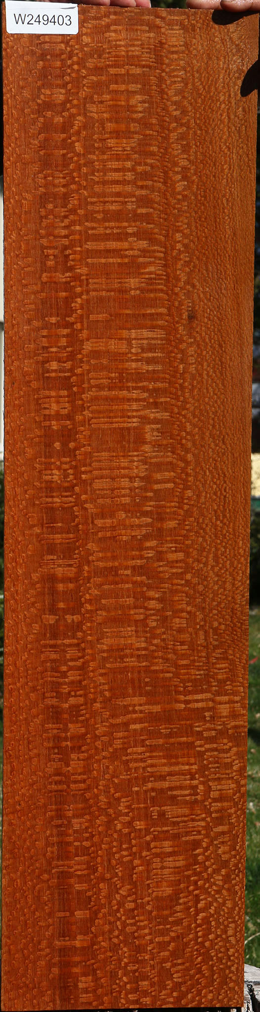 Extra Fancy Quartersawn Leopardwood Instrument Lumber
