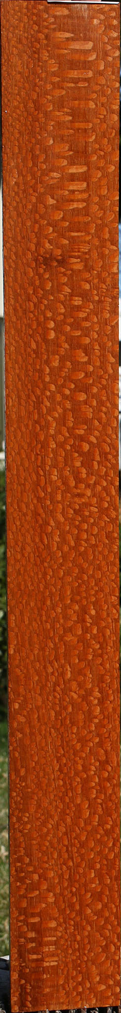 Extra Fancy Quartersawn Leopardwood Lumber