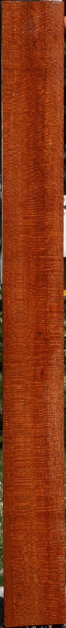 Extra Fancy Quartersawn Leopardwood Lumber