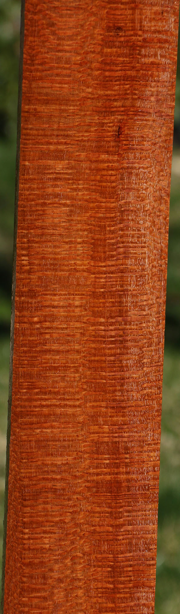 Extra Fancy Quartersawn Leopardwood Lumber