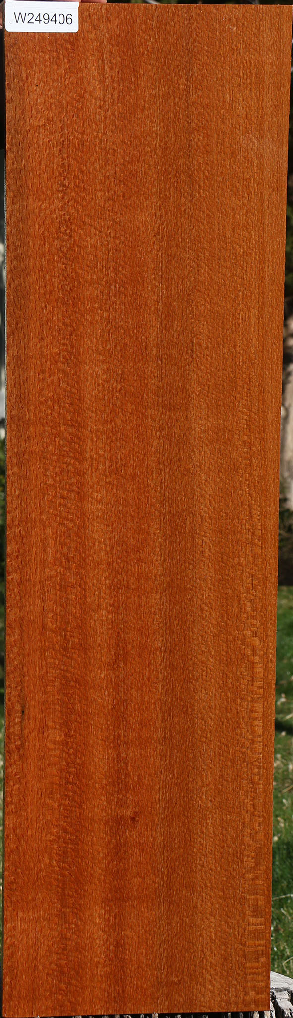 Extra Fancy Quartersawn Leopardwood Lumber