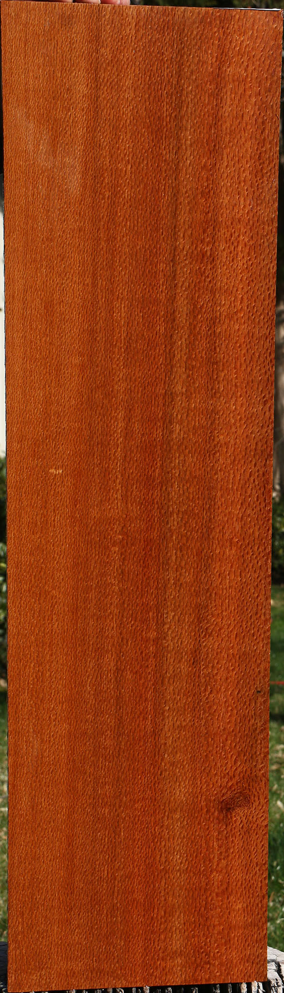Extra Fancy Quartersawn Leopardwood Lumber