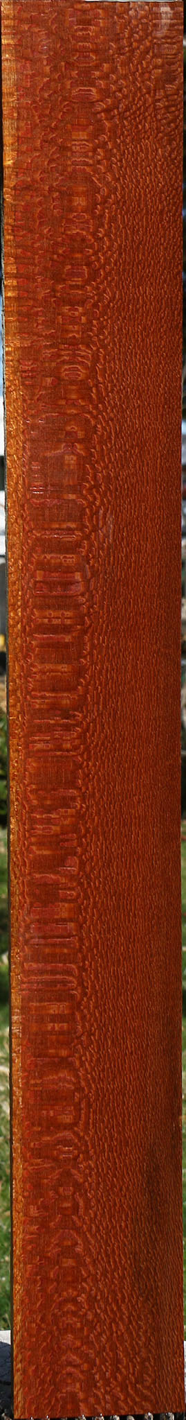 Extra Fancy Leopardwood Lumber