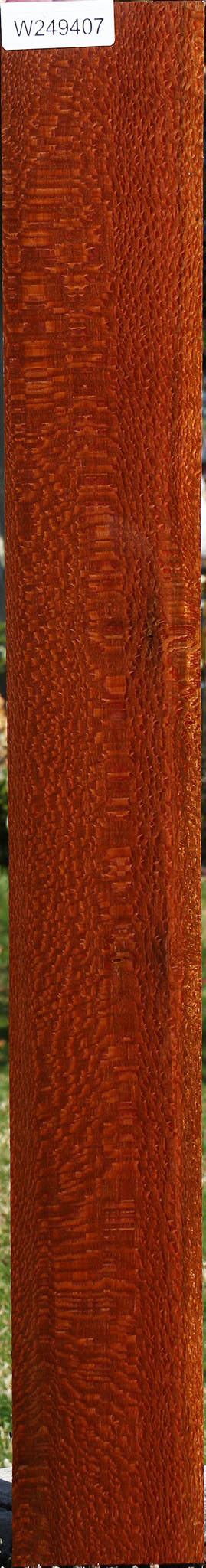 Extra Fancy Leopardwood Lumber