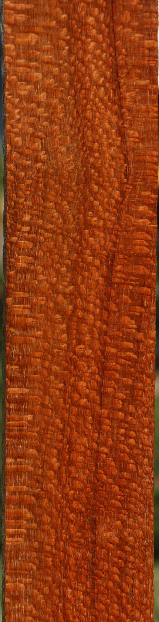 Extra Fancy Quartersawn Leopardwood Lumber