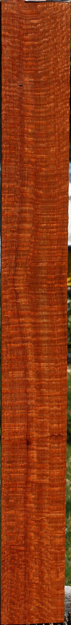 Extra Fancy Quartersawn Leopardwood Lumber