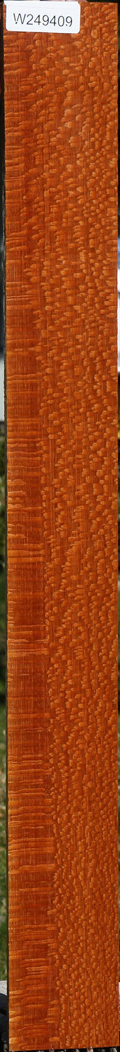 Extra Fancy Quartersawn Leopardwood Lumber